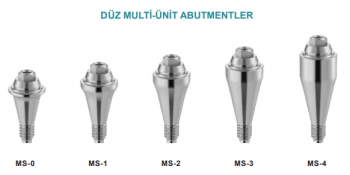 Multi Abutment